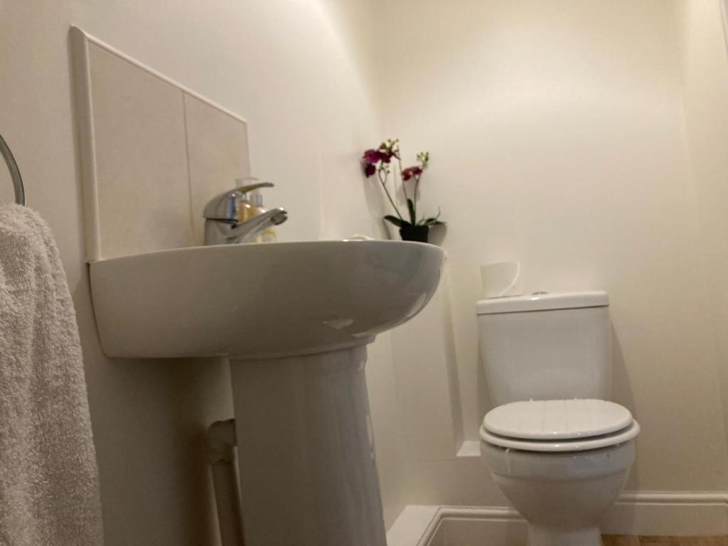Cosy Home Near Hospital Carlisle  Bagian luar foto